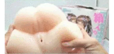 Мастурбатор две попы ''Hakoiri Katsu''