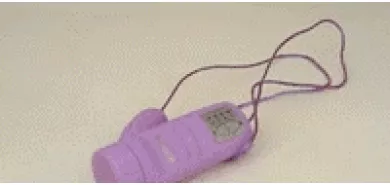 Виброяйцо "Inspiration Big"