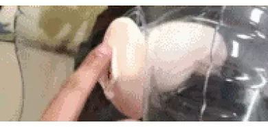 Мастурбатор "L.B. Ren Yaru"