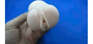 Мастурбатор "Complete Yuu Haruka"