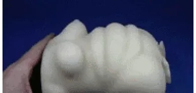 Мастурбатор тело "Injuku Raisan"