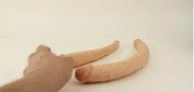 Фаллоимитатор двухголовый "Soto Kakka Short"