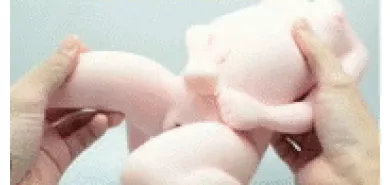 Мастурбатор тело ''L.S. Ichigo''