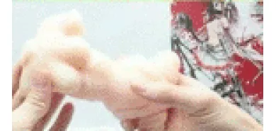 Мастурбатор киборг "Shie THE HOLE"