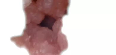 Мастурбатор ручной ''Monster Girl Origin''