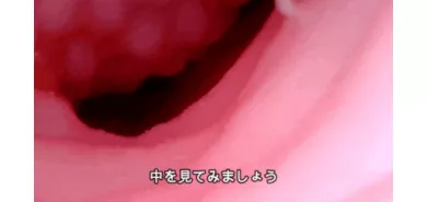 Мастурбатор вагина "1.7 Girl B Evo Soft"