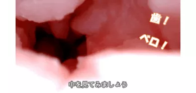 Мастурбатор рот ''The M.O.T. Soft''