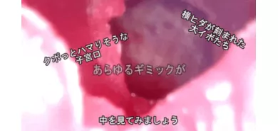 Мастурбатор вагина "Tenka Ikku"