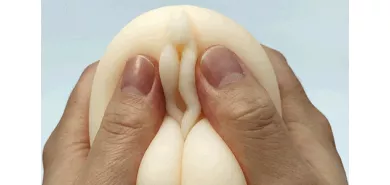 Мастурбатор вагина "Pervert Masturbation Plan"