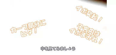 Мастурбатор вагина "Reticent Girl Big"