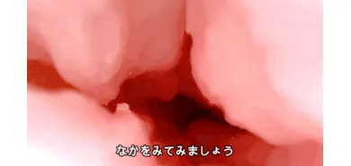 Мастурбатор вагина ''O.M.P. Otome''