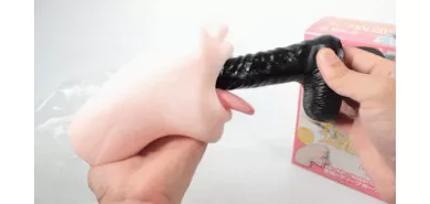 Мастурбатор ротик "Hodai Blowjob Riona Minami"