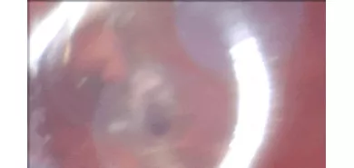 Мастурбатор Steam Punk ''Kupa Torippu Deep Hell'' – TOY69.ru