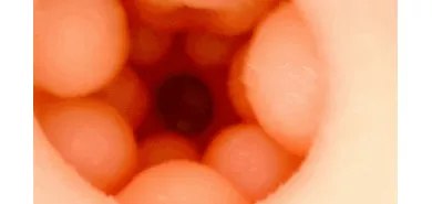 Мастурбатор вагина "Love Lust"