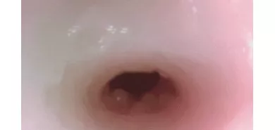 Мастурбатор попа "Ri Aru The Ri Aru"