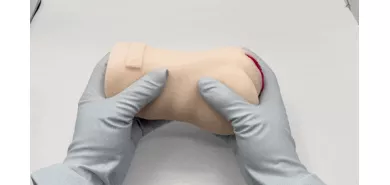 Мастурбатор вагина "Meiki Story Anzai Rara"