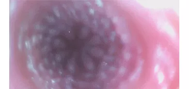 Мастурбатор вагина "Meiki Story Anzai Rara"