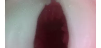 Мастурбатор вагина "O.M.P. Roa Big"