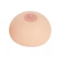 Oppai Kyonyu Oppai Kyonyu