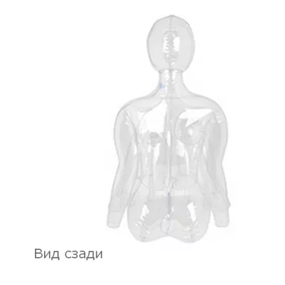 Секс кукла надувная "Love Body Hina"