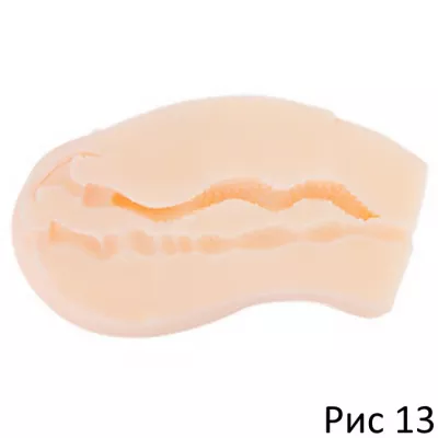Вагина и анус "BodyPuni DX Soft"