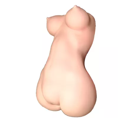 Мастурбатор тело "Girl's Anatomy"