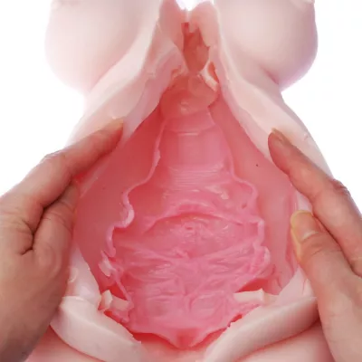 Мастурбатор тело "Girl's Anatomy"