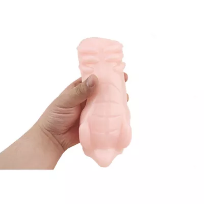 Мастурбатор тело "Girl's Anatomy"
