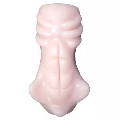 Мастурбатор тело "Girl's Anatomy"