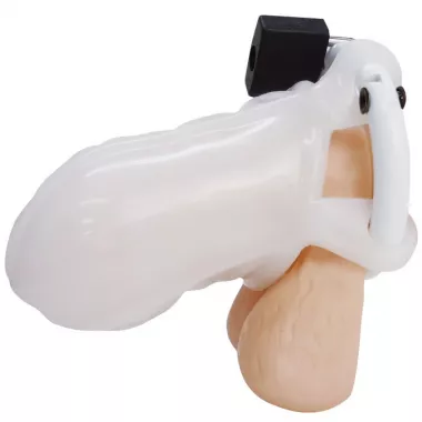 Cock Lock Ecstasy