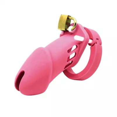 Пояс верности "Masturbation Control Long Pink"