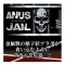 Анальная пробка металлическая "Anus Jail M Size"