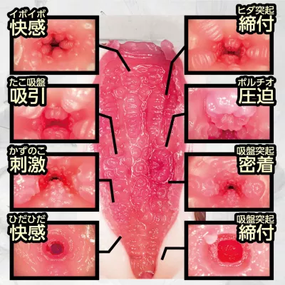 Мастурбатор вагина "Gokujo Hole Shiina Sora"