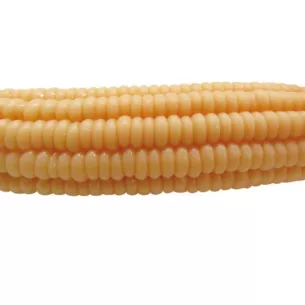Фаллоимитатор в виде кукурузы "Otoko Duncone"