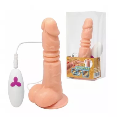 Piston Dildo Moteo