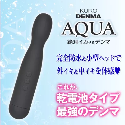 Вибратор массажер "Black Denma Aqua"
