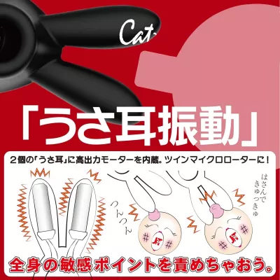 Вакуумный стимулятор с вибрацией "CatPunch N BUNNY BLACK"