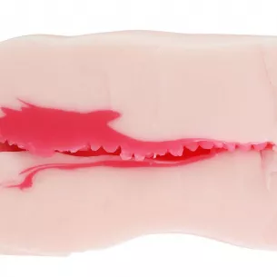 Мастурбатор вагина "Puniana Meiki"