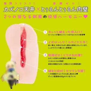 Мастурбатор вагина "Puniana Meiki"