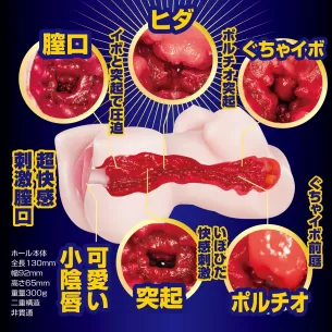 Мастурбатор мини торс "Akogare Beautiful Bloomers Competition"