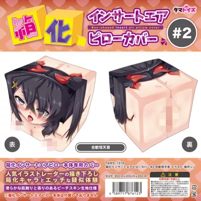 Наволочка для подушки кубика дакимакура "Box-Shaped Air Pillow Cover 2"