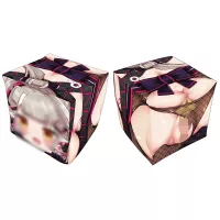 Box-Shaped Air Pillow Cover 4