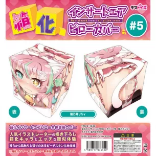 Наволочка для подушки кубика дакимакура "Box-Shaped Air Pillow Cover 5"