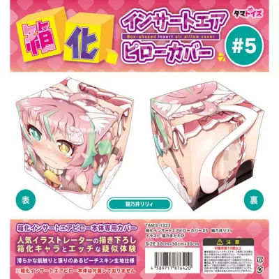 Наволочка для подушки кубика дакимакура "Box-Shaped Air Pillow Cover 5"
