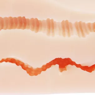 Мастурбатор вагина-анус Puniana:Re