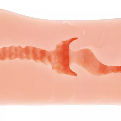 Мастурбатор вагина “19R Secret Uterus”