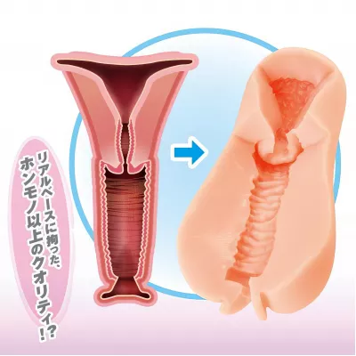 Мастурбатор вагина “19R Secret Uterus”