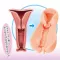 Мастурбатор вагина “19R Secret Uterus”