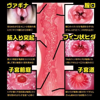 Мастурбатор вагина "Meiki Shin 003 Aoi Tsukasa"