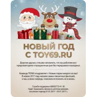 Новый 2017 год с Той69